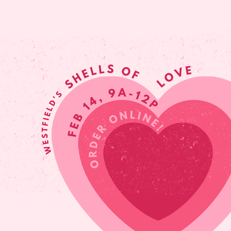 Shells of Love!